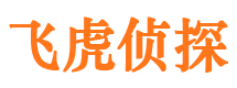 环江侦探公司